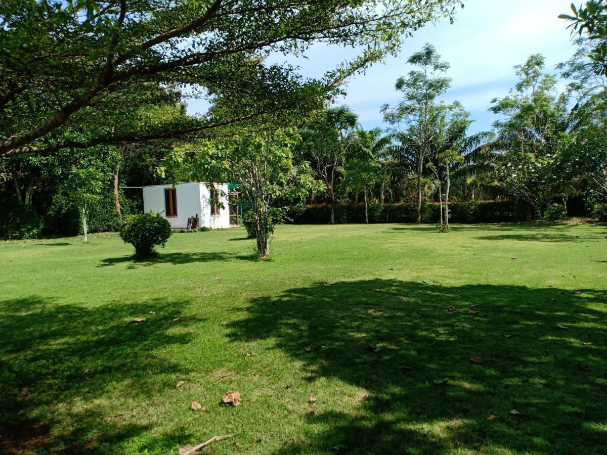 Mem Homestay Чумпхон Экстерьер фото